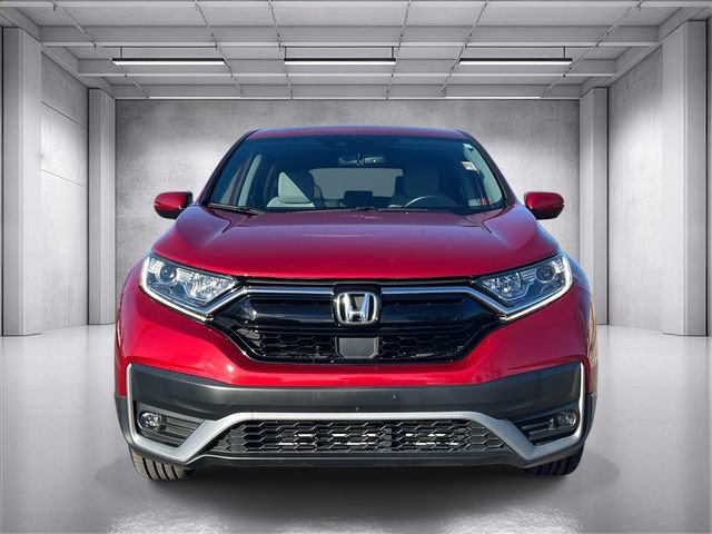 Used 2021 Honda CR-V EX-L image 5