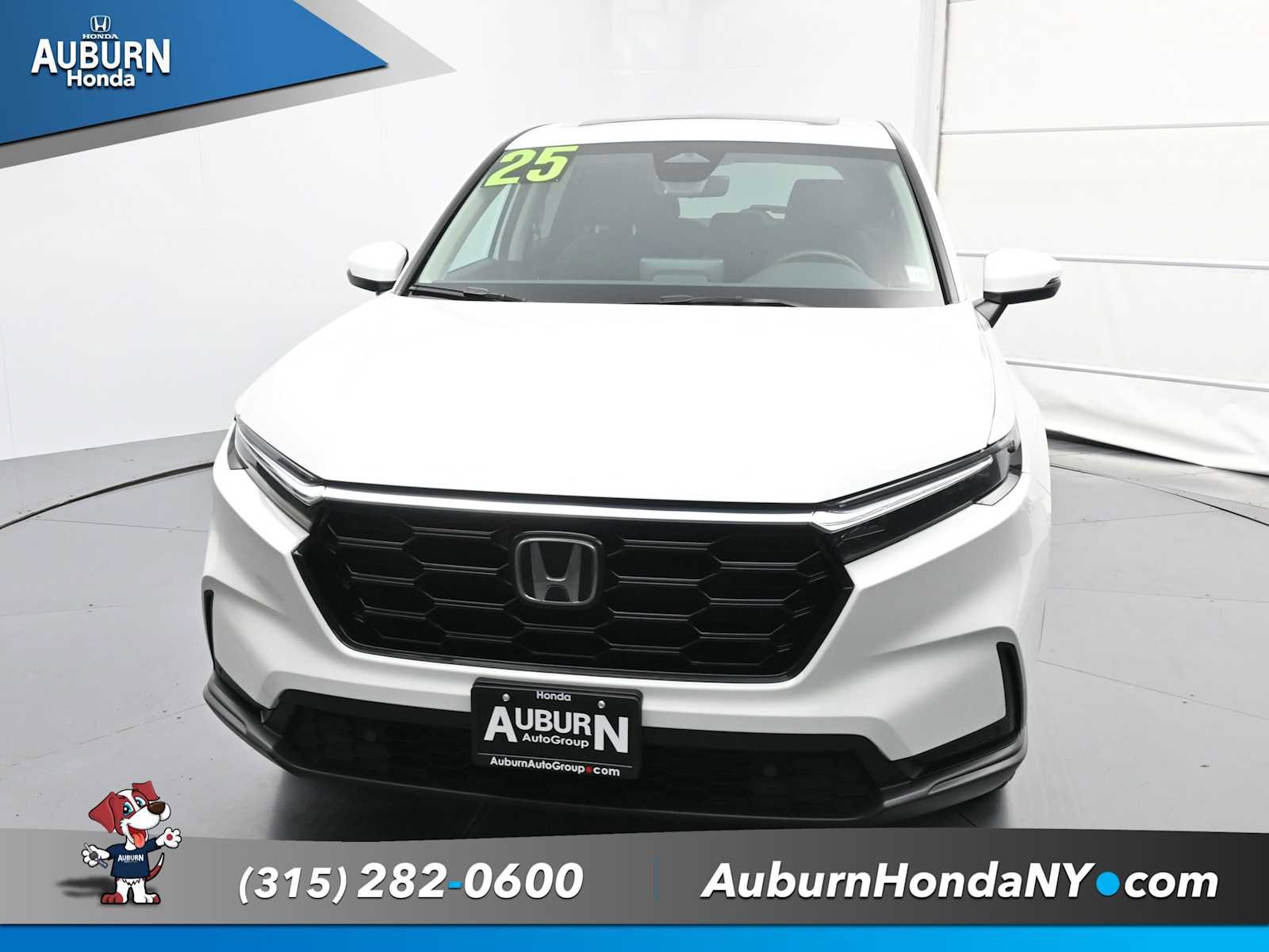 Used 2025 Honda CR-V EX-L image 2