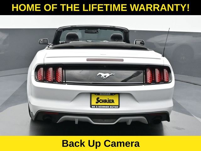 Used 2017 Ford Mustang Premium RWD image 5