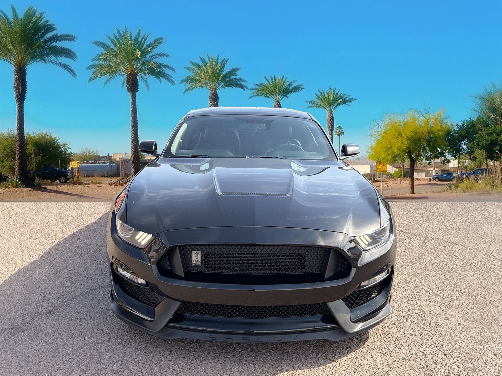 Used 2016 Ford Mustang Shelby GT350 w/ Technology Package RWD image 9