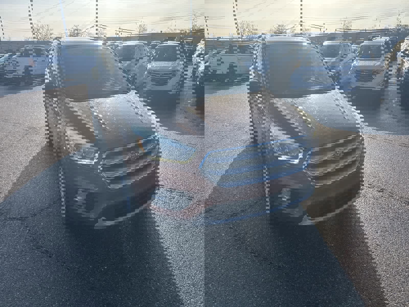 Used 2017 Ford Escape SE w/ Equipment Group 201A image 6