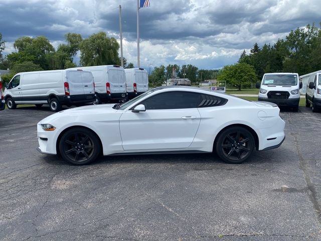 Used 2019 Ford Mustang Coupe w/ Equipment Group 101A RWD image 2