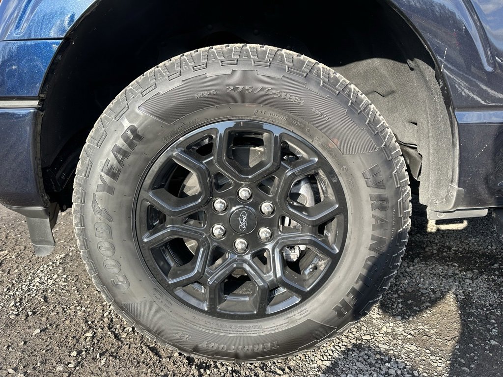 Used 2024 Ford F150 XLT w/ Equipment Group 302A MID image 10