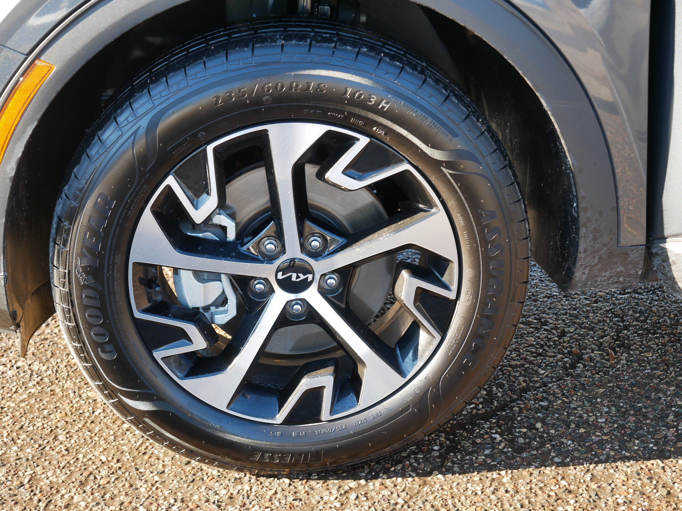 Certified 2024 Kia Sportage EX image 15