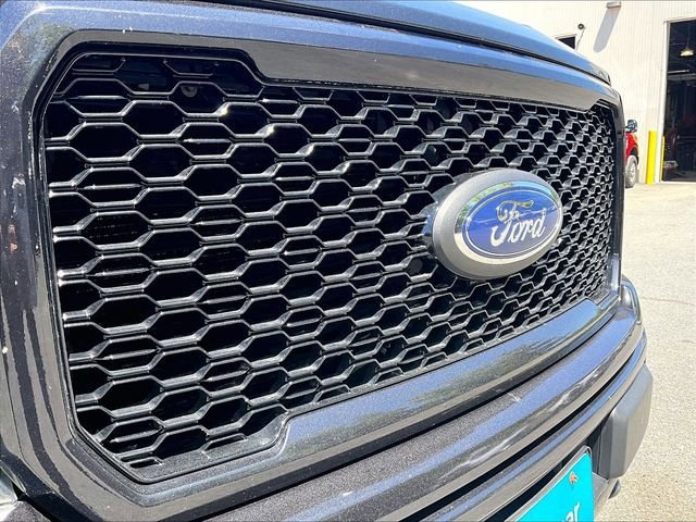 Used 2019 Ford F150 XLT w/ Equipment Group 302A Luxury AWD/4WD image 32