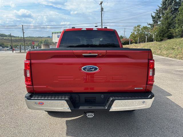 Certified 2023 Ford F150 XLT w/ Equipment Group 302A High image 3