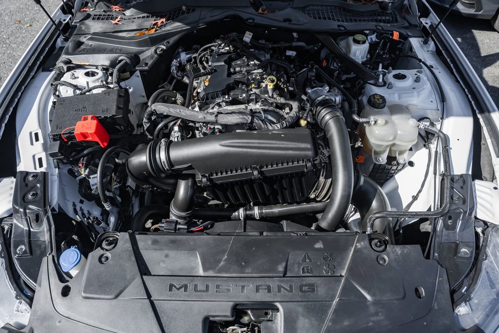 Used 2024 Ford Mustang Premium image 15