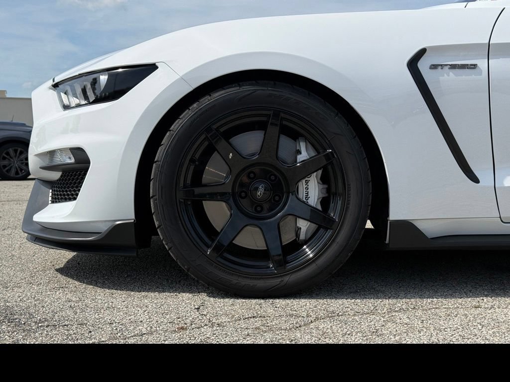 Used 2019 Ford Mustang Shelby GT350 w/ Technology Package RWD image 2