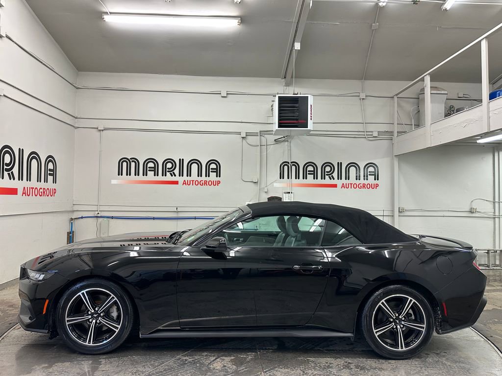 Used 2024 Ford Mustang Premium image 2