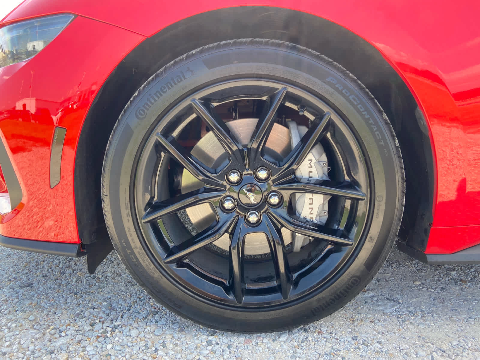 Used 2025 Ford Mustang GT Premium w/ Mustang Nite Pony Package RWD image 6