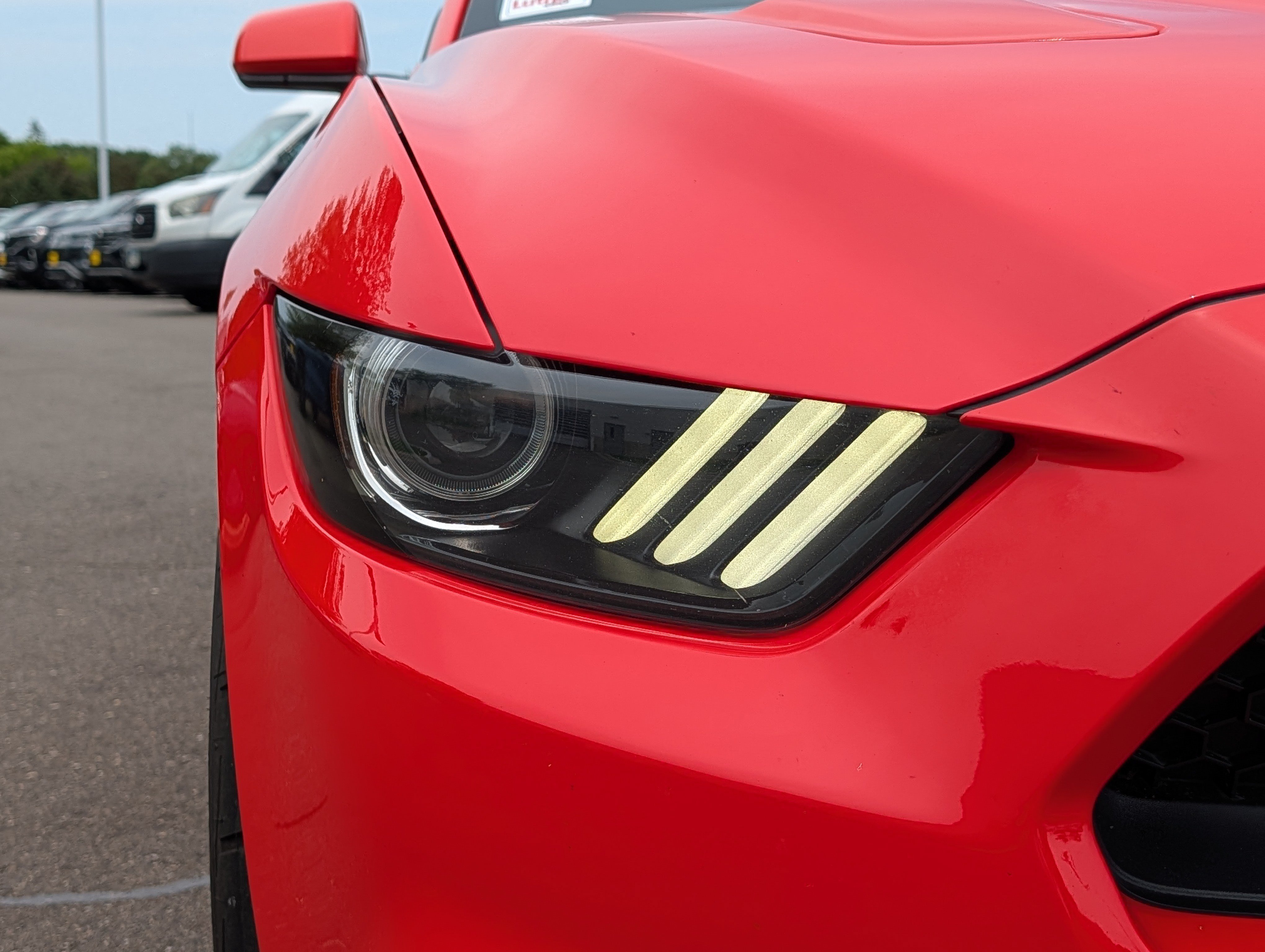 Used 2015 Ford Mustang GT RWD image 16
