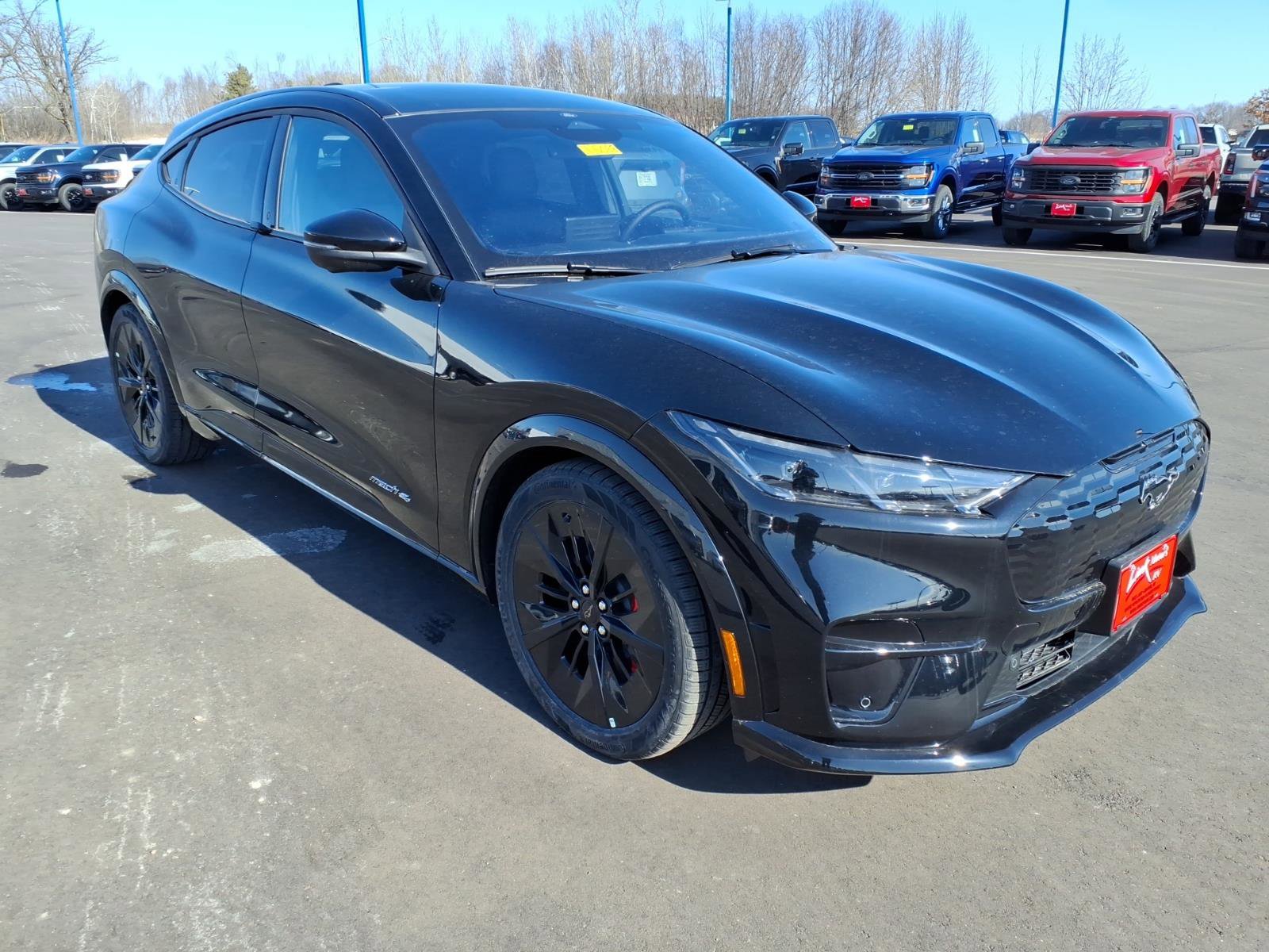 New 2025 Ford Mustang Mach-E GT w/ Interior Protection Package image 4