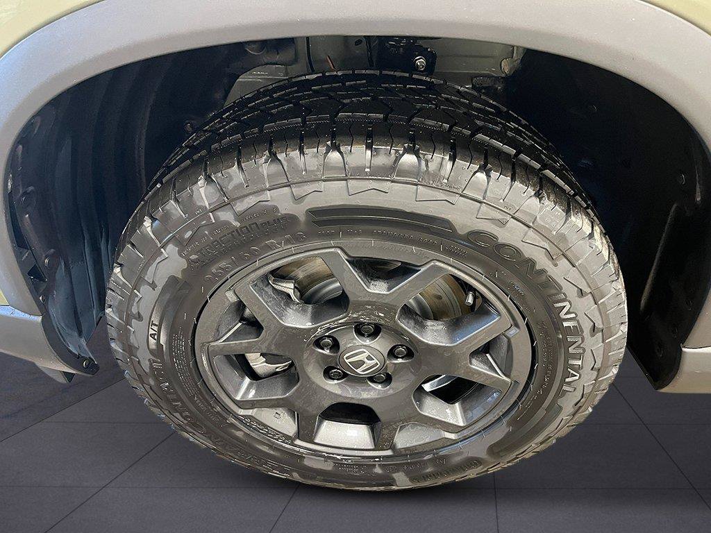 New 2026 Honda Pilot TrailSport image 11