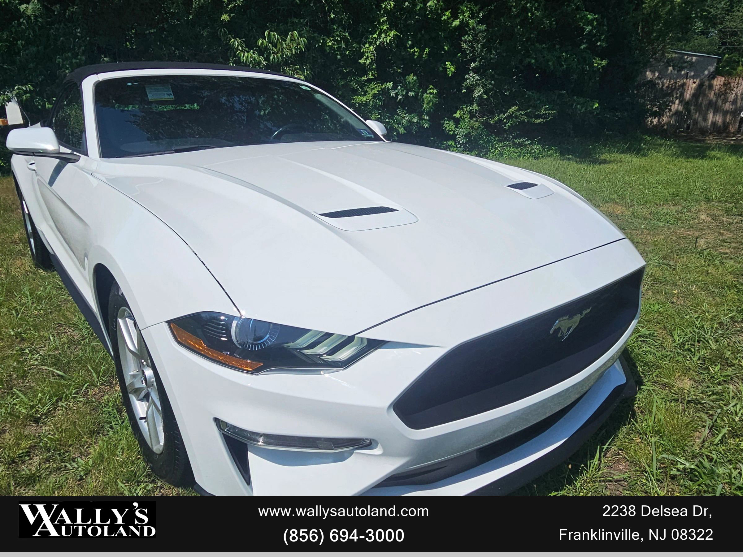 Used 2019 Ford Mustang Convertible image 2