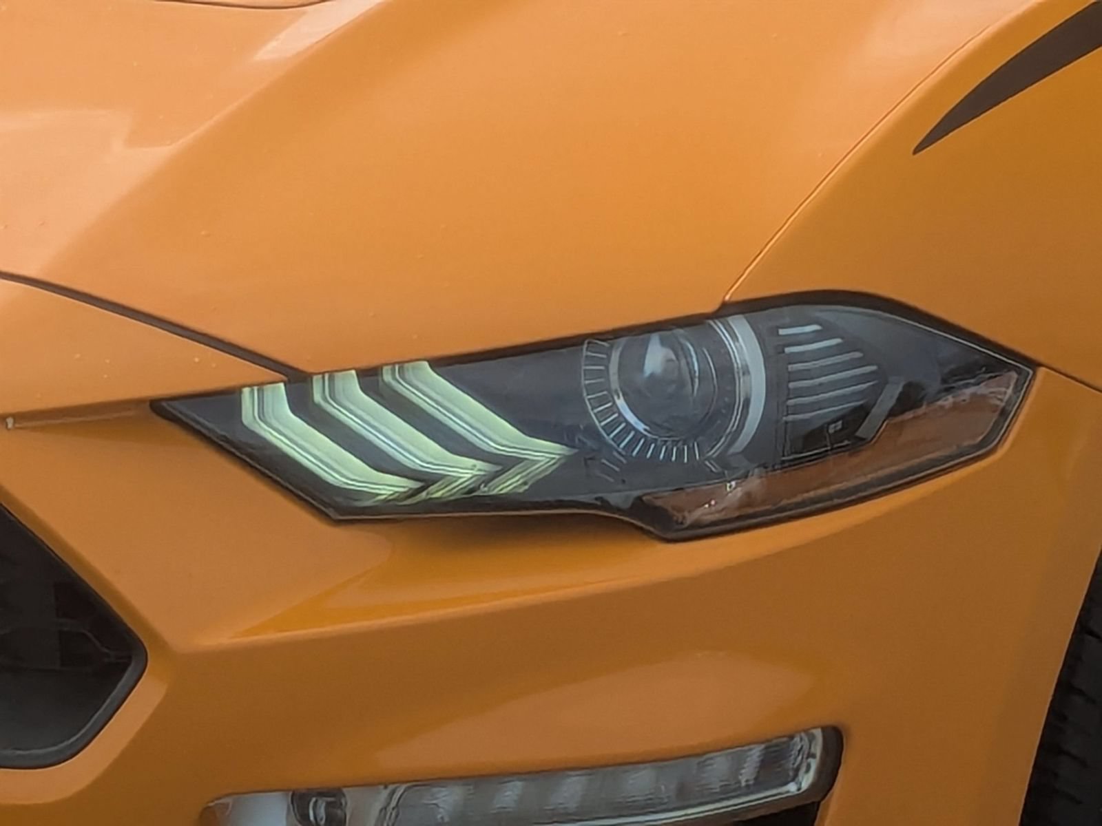 Used 2019 Ford Mustang Premium w/ Equipment Group 201A RWD image 9