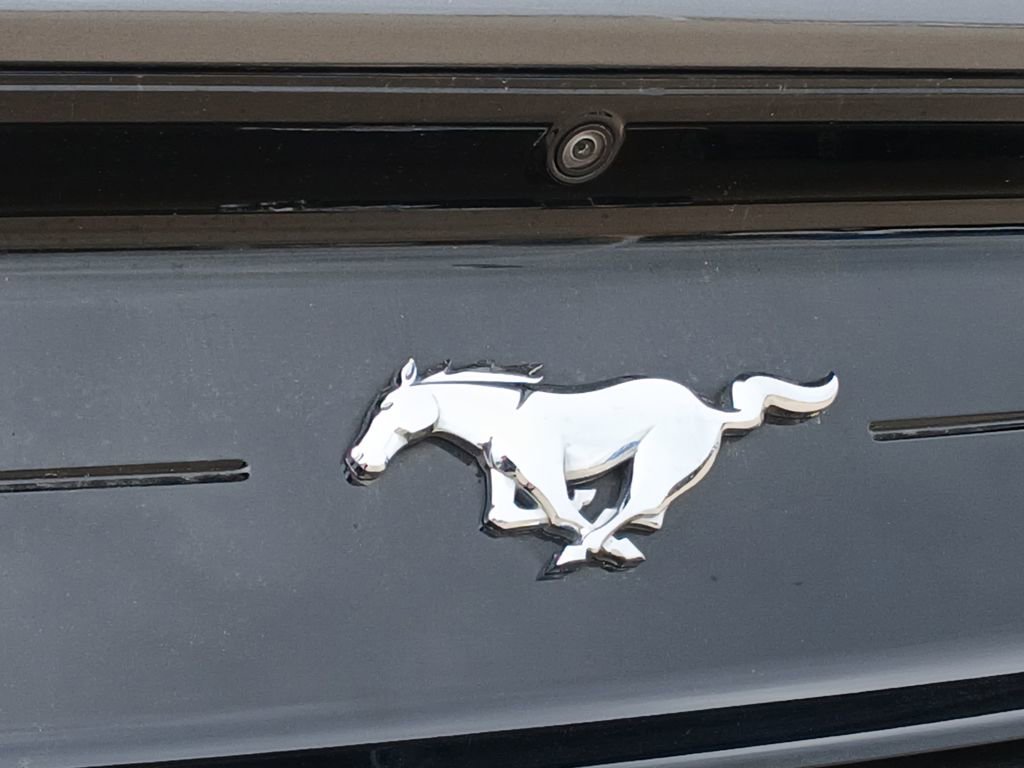 Used 2022 Ford Mustang Premium image 31