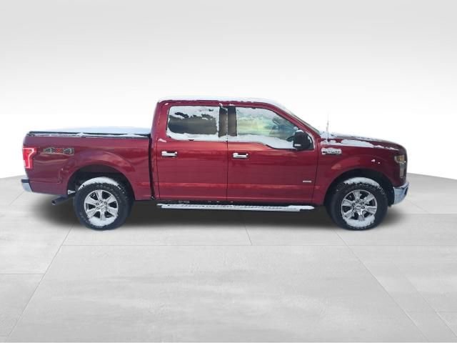 Used 2016 Ford F150 XLT w/ Equipment Group 302A Luxury image 8