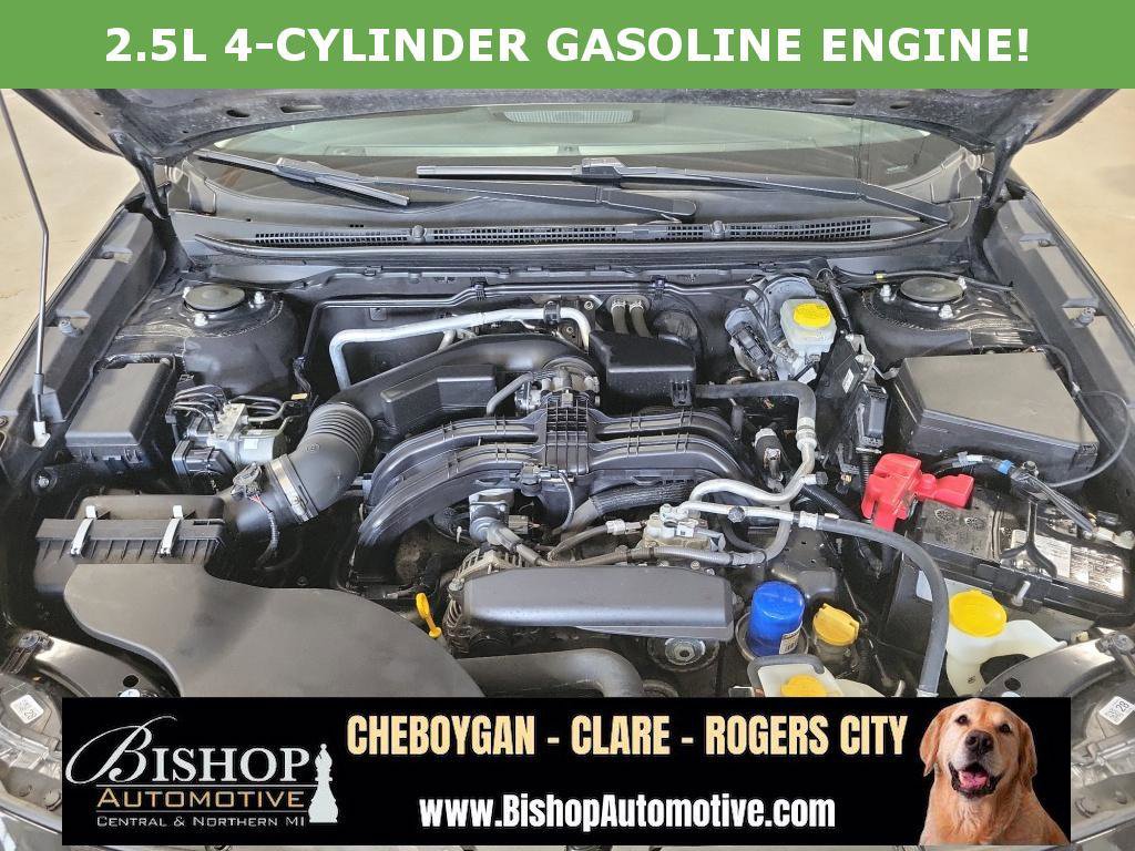 Used 2023 Subaru Outback Premium image 10