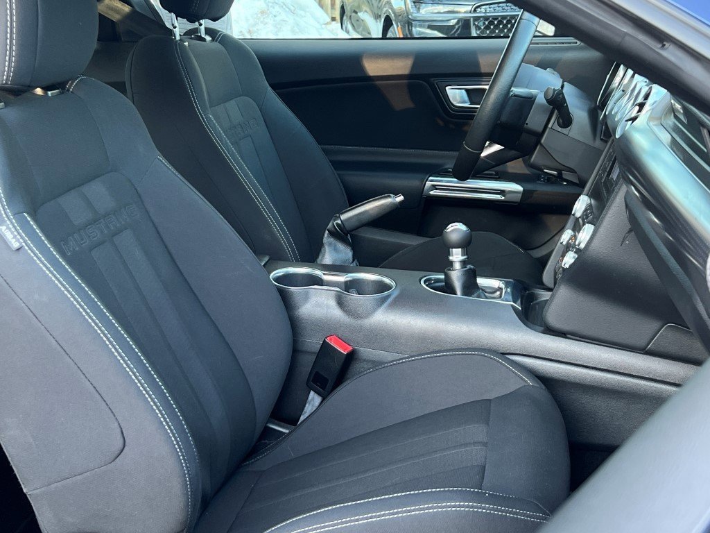 Used 2019 Ford Mustang Coupe w/ Ecoboost Performance Package image 10