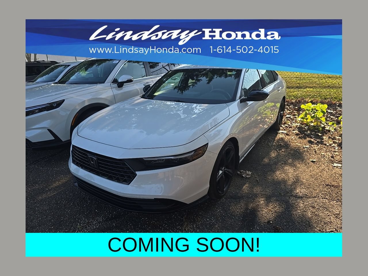 Used 2023 Honda Accord Sport image 1