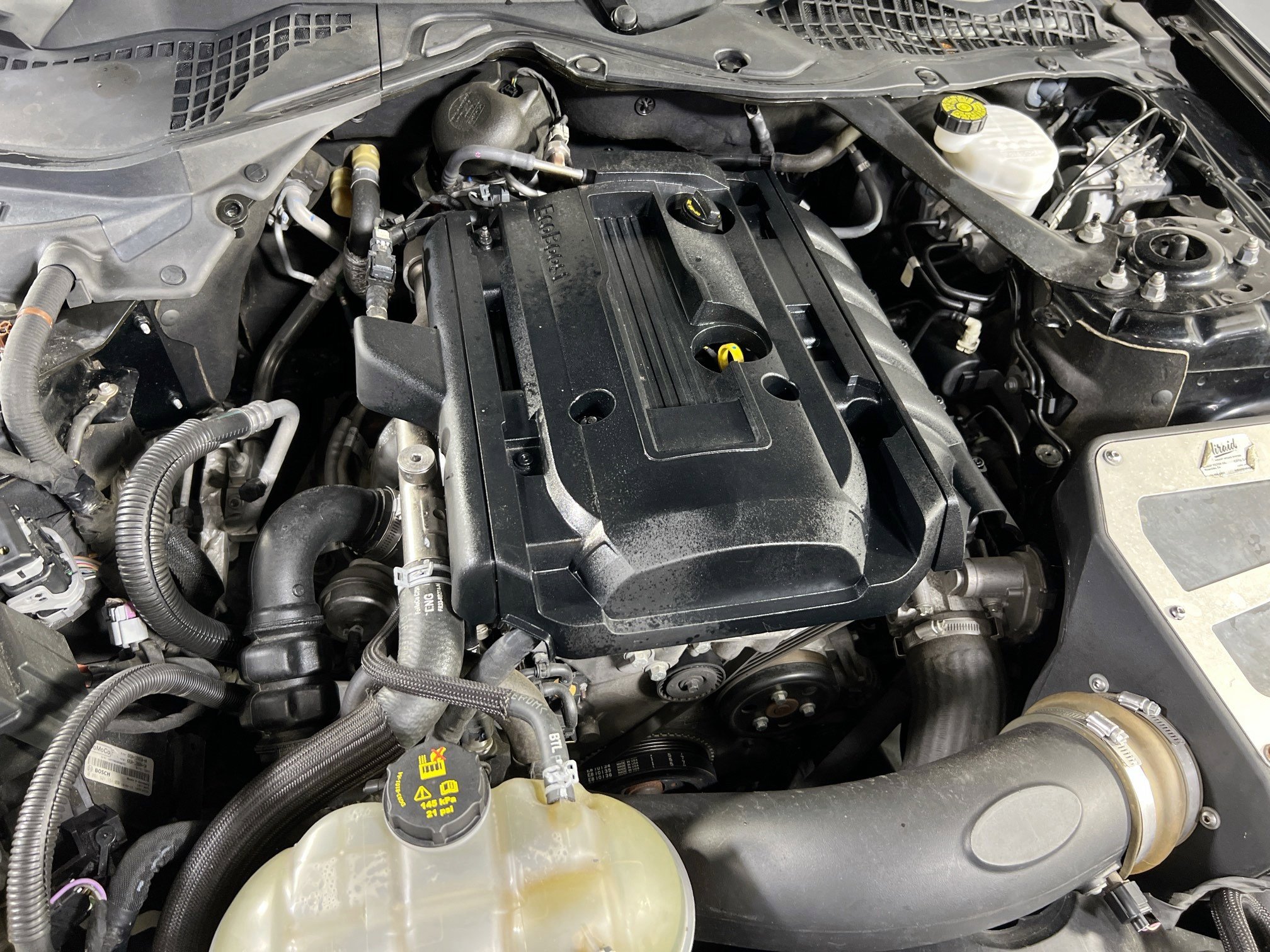 Used 2019 Ford Mustang Premium w/ Equipment Group 201A image 29