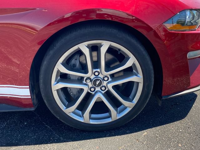 Used 2019 Ford Mustang GT Premium w/ Equipment Group 401A RWD image 20