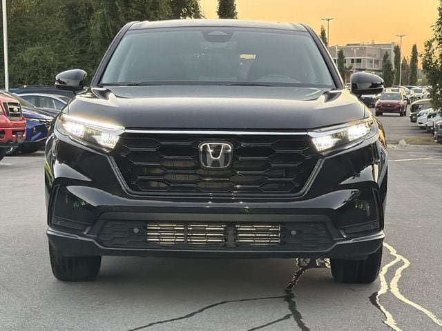 Used 2026 Honda CR-V EX-L image 8