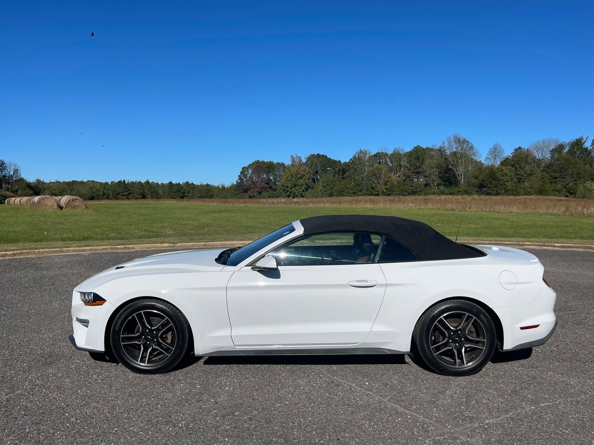 Used 2018 Ford Mustang Premium RWD image 2