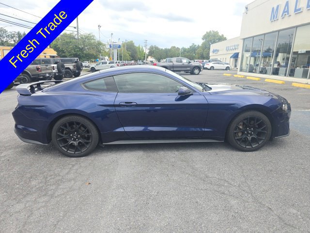Used 2019 Ford Mustang Premium w/ Ecoboost Performance Package RWD image 1