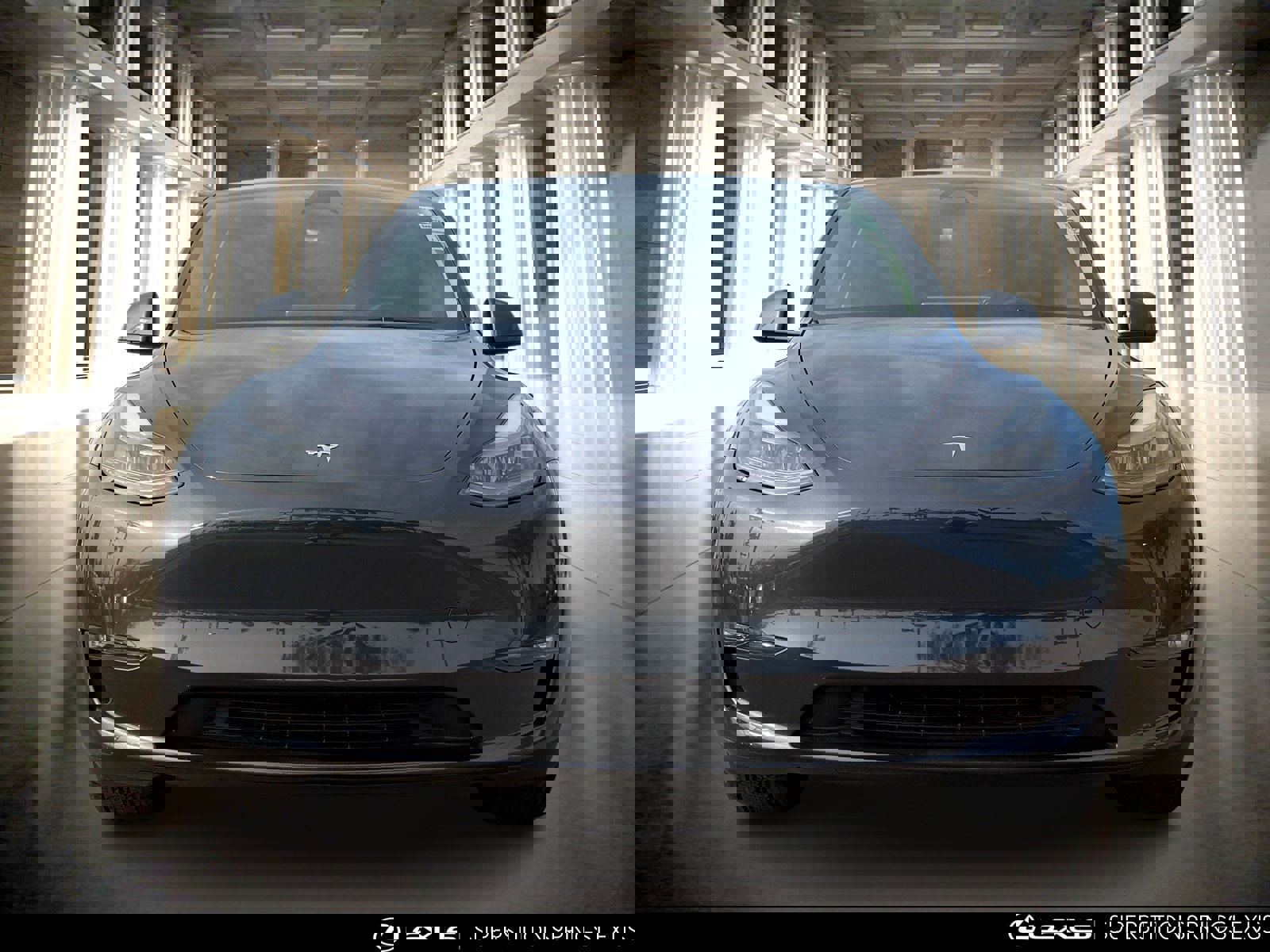 Used 2025 Tesla Model Y Long Range image 5