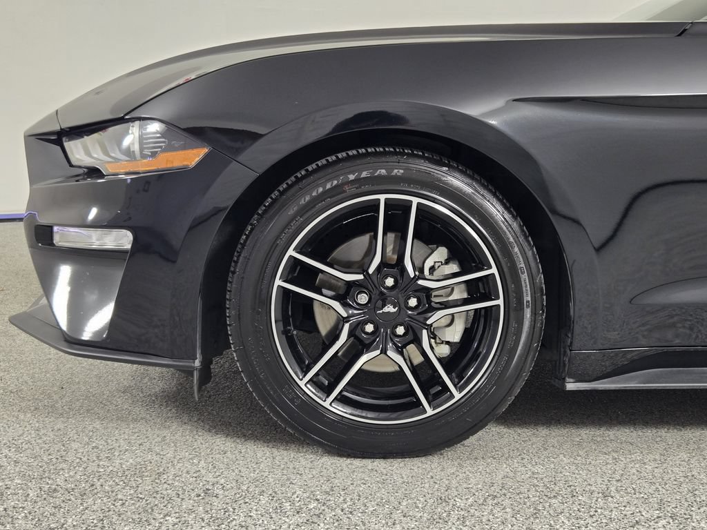 Used 2023 Ford Mustang Premium w/ Equipment Group 201A RWD image 8