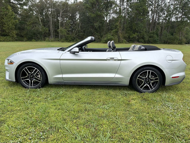 Used 2019 Ford Mustang Premium RWD image 17