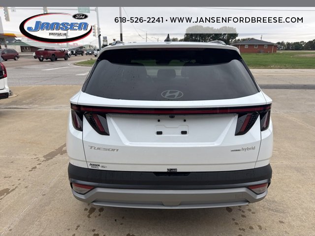 Used 2025 Hyundai Tucson Limited image 5