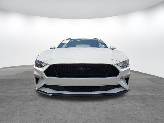 Certified 2019 Ford Mustang GT Premium w/ Black Accent Package RWD image 2
