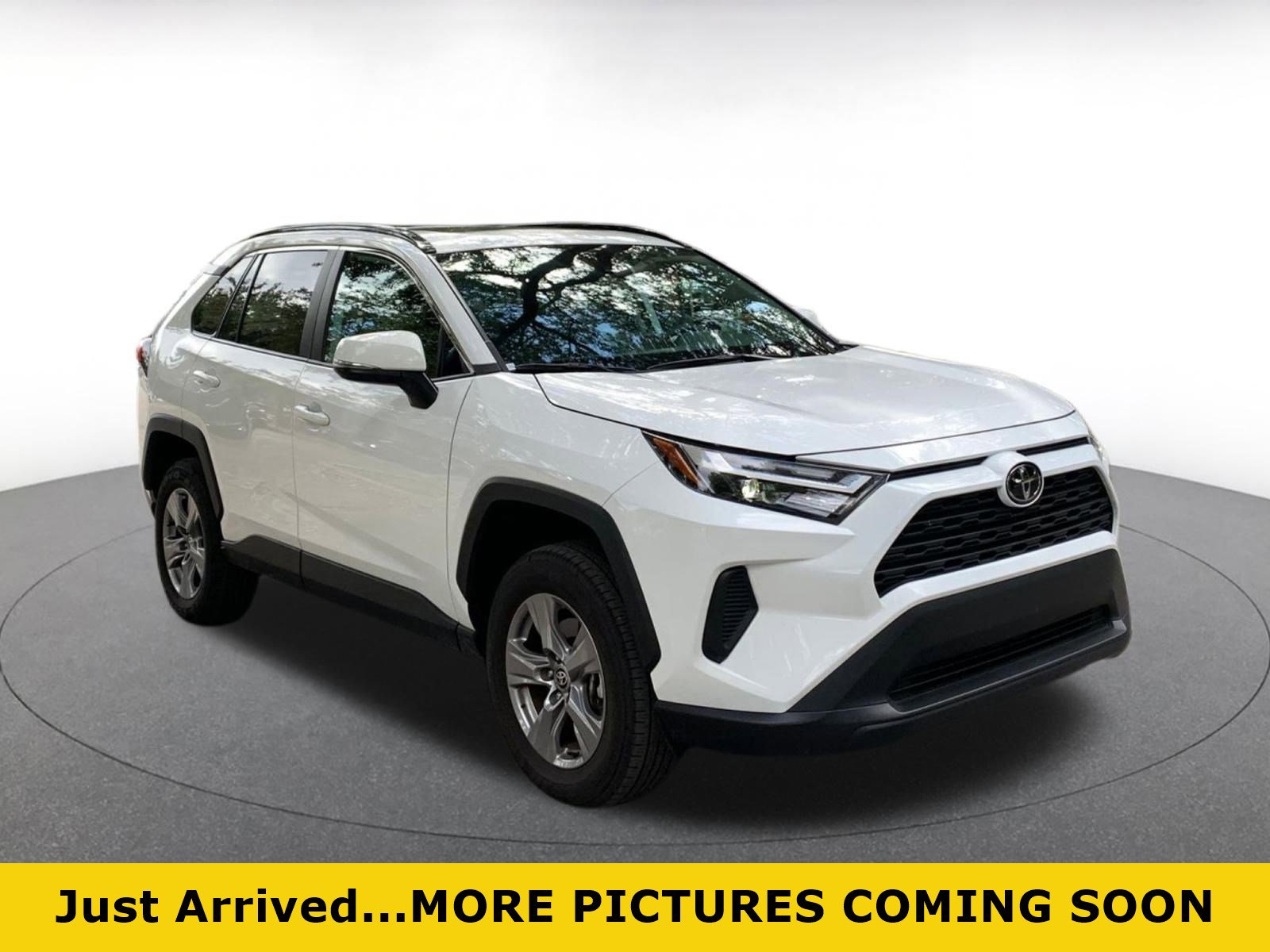 Used 2025 Toyota RAV4 XLE