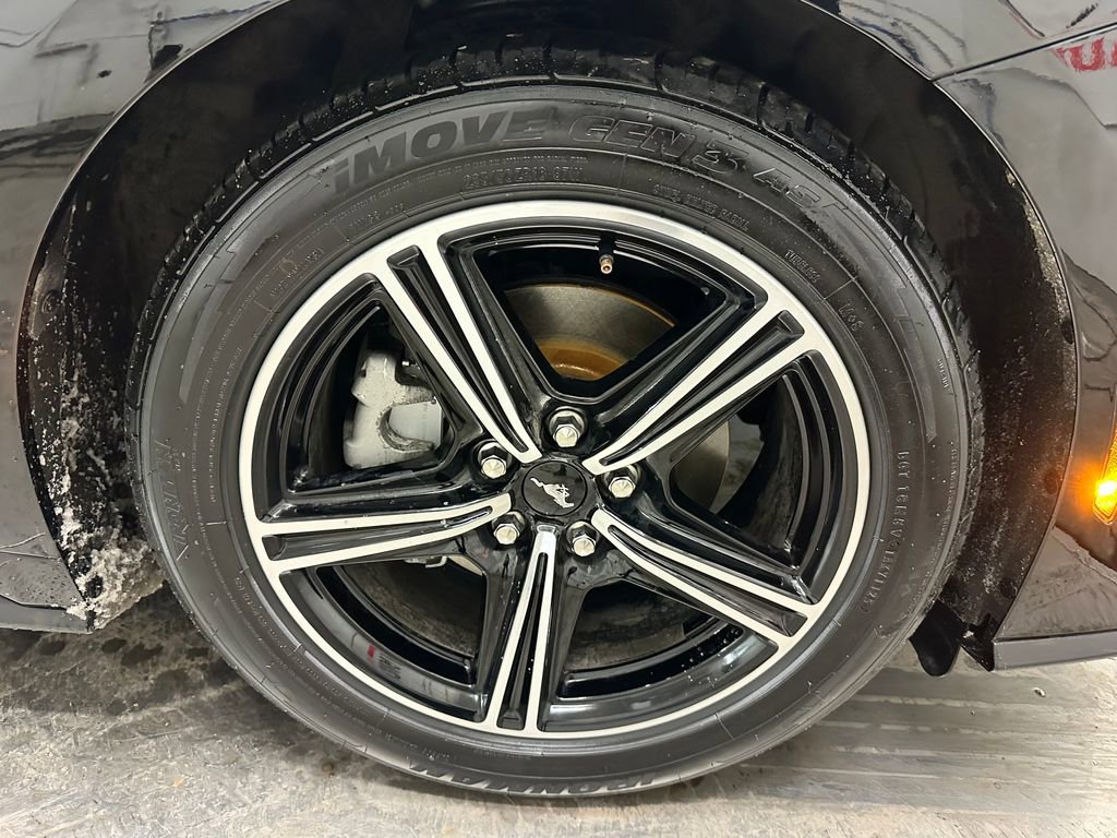 Used 2024 Ford Mustang Premium image 34