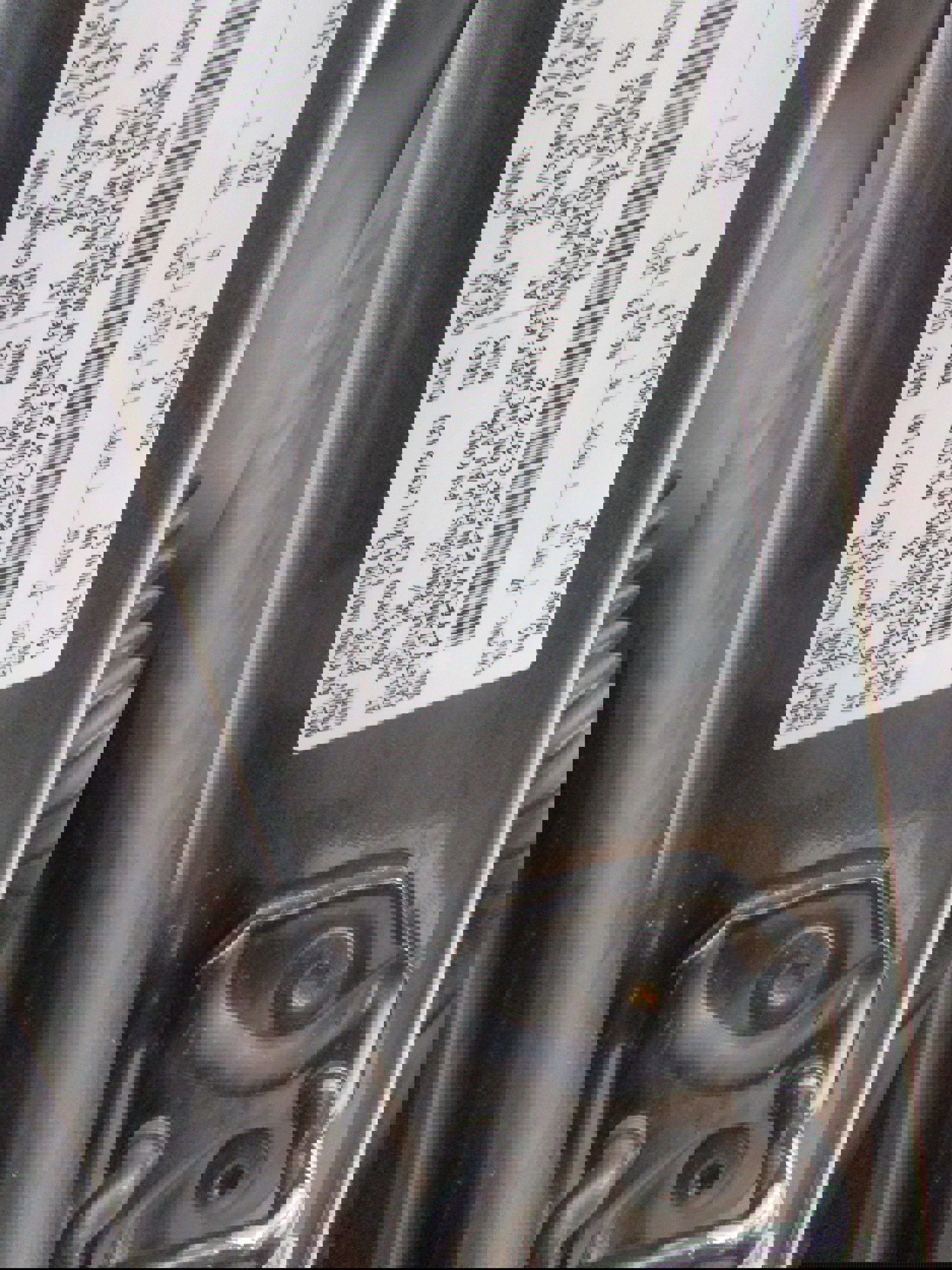 Used 2016 Ford F150 XLT w/ Equipment Group 301A Mid image 25