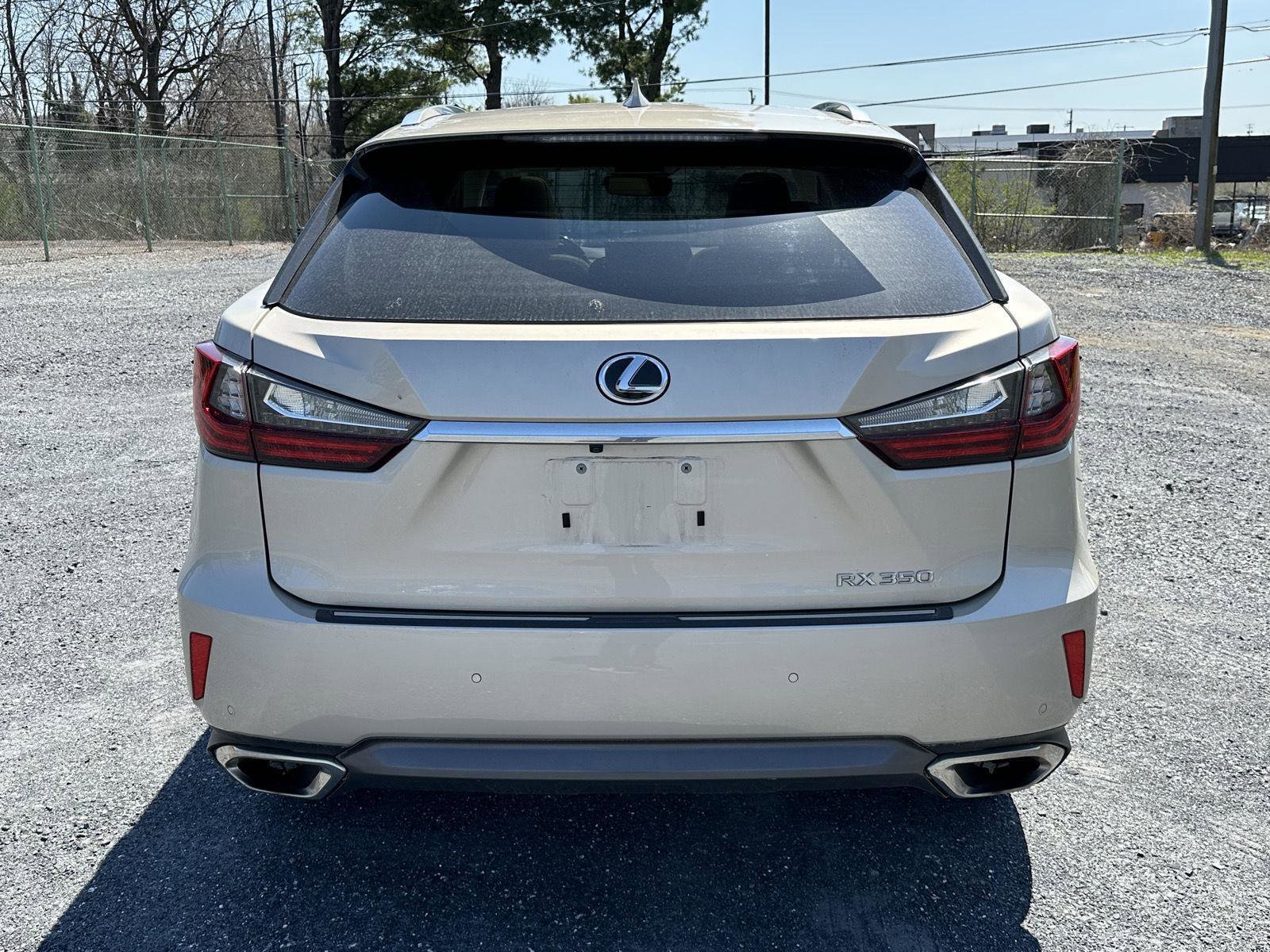 Used 2019 Lexus RX 350 AWD image 7