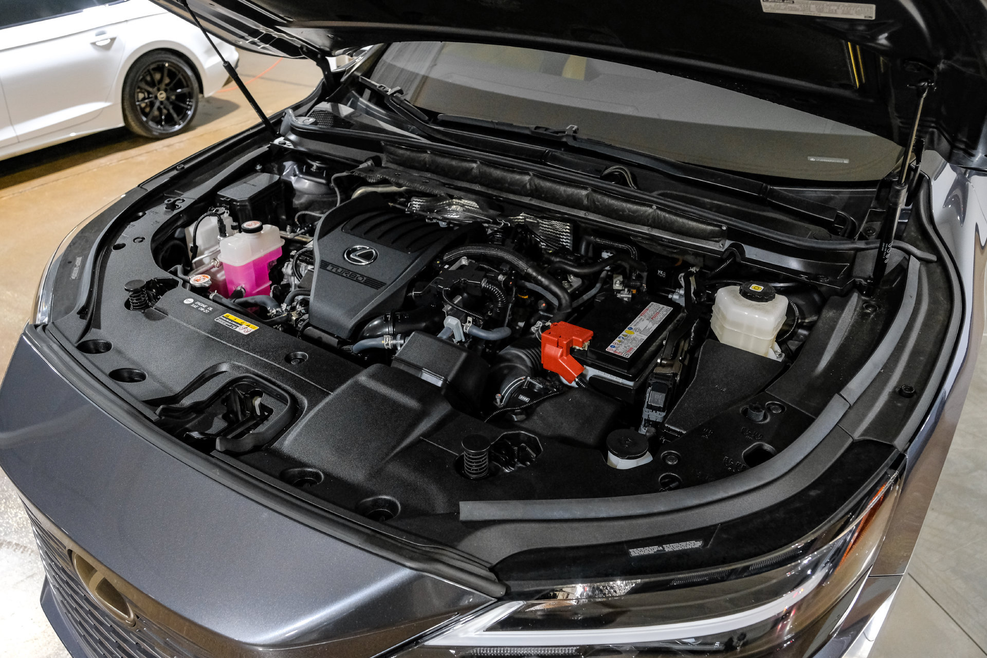 Used 2024 Lexus RX 350 Premium w/ Cold Area Package FWD image 50