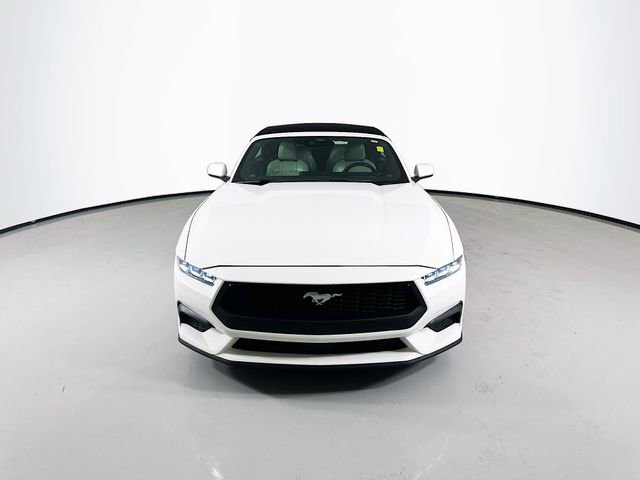 Used 2024 Ford Mustang Premium RWD image 4