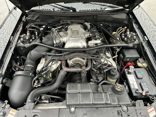 Used 1997 Ford Mustang Cobra image 27