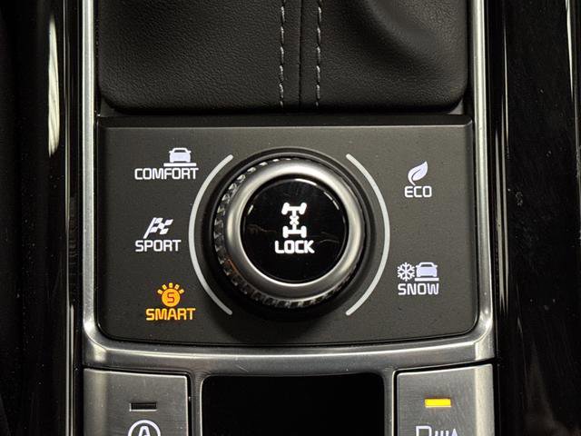 Used 2024 Kia Telluride SX X-Line image 24