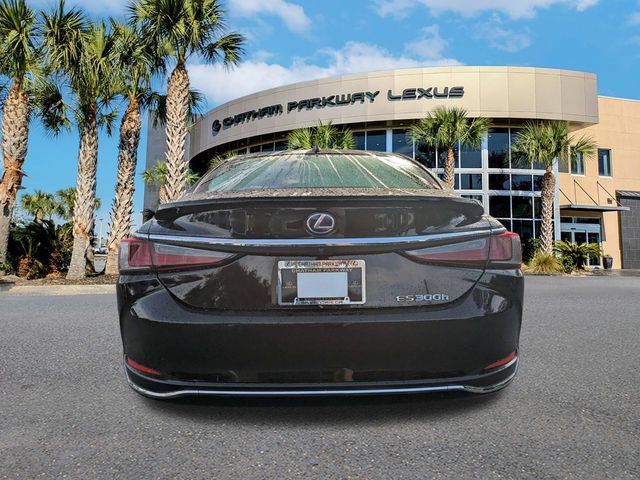 Used 2019 Lexus ES 300h Ultra Luxury w/ Accessory Package 2 FWD video 2