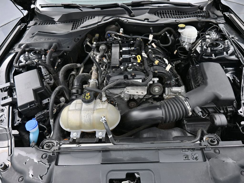 Used 2021 Ford Mustang Premium w/ Equipment Group 201A image 15