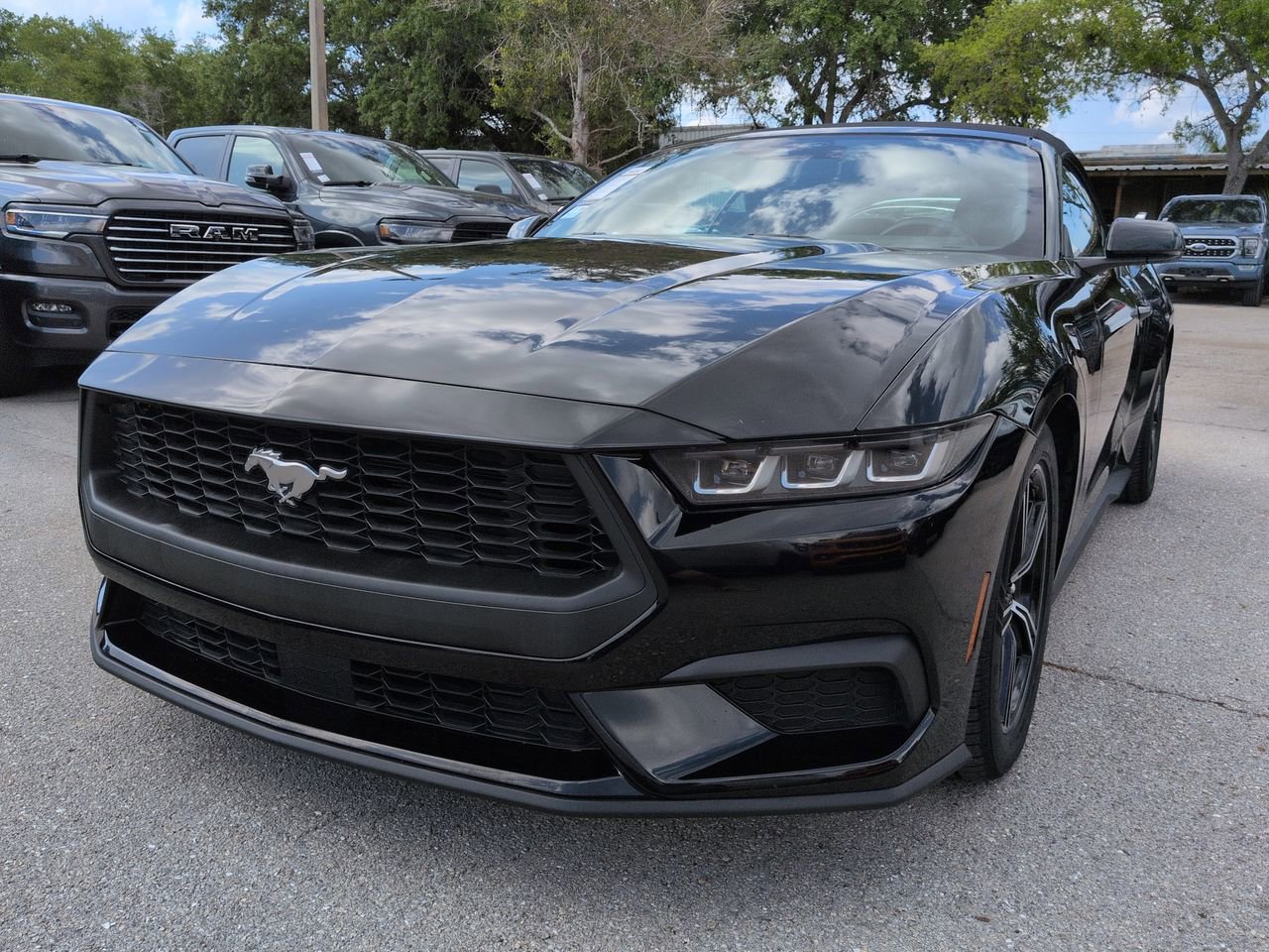 Used 2024 Ford Mustang Premium RWD image 9