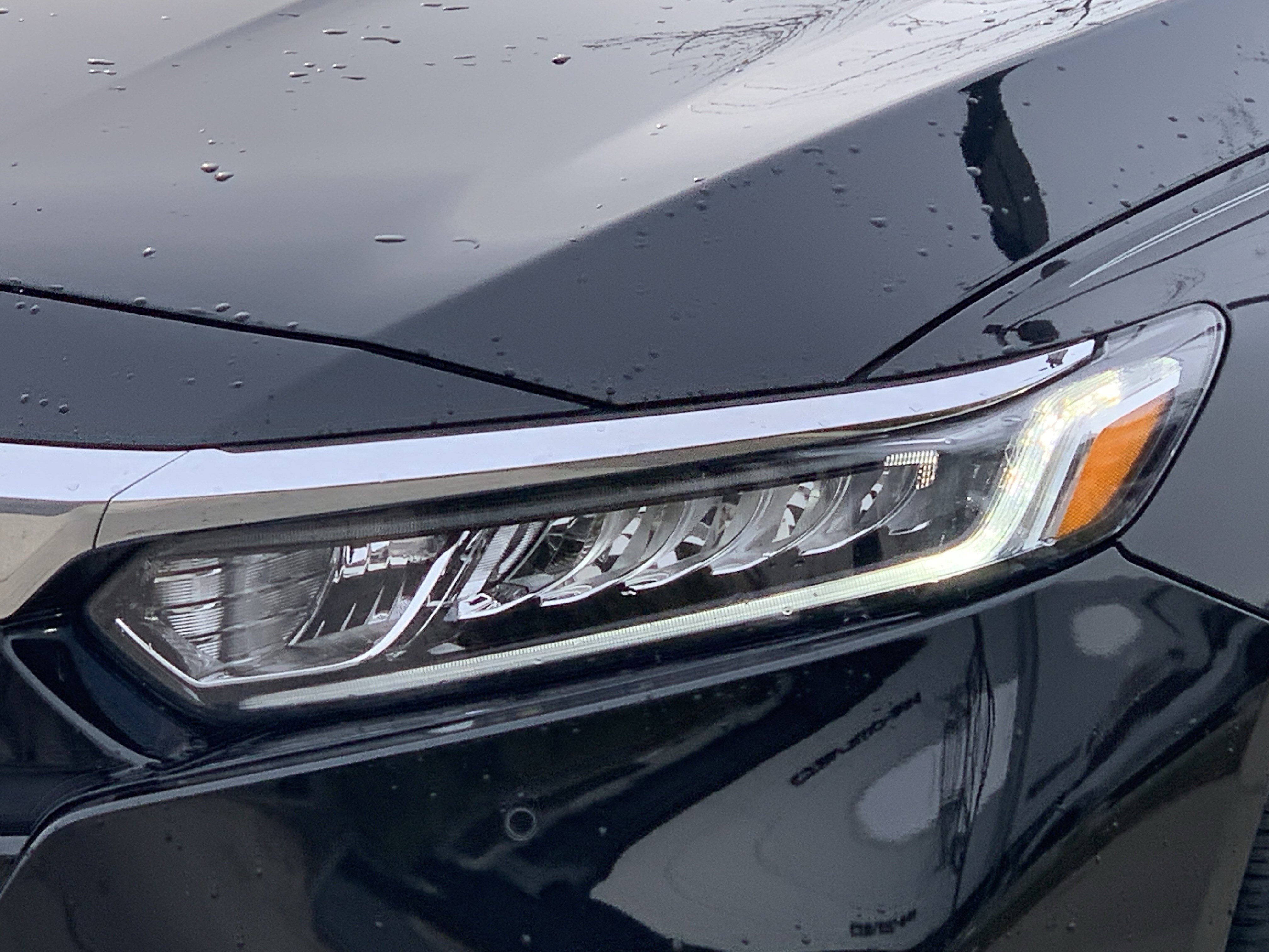 Used 2020 Honda Accord EX-L image 6