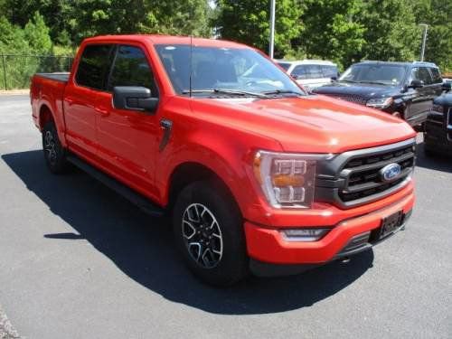 Used 2023 Ford F150 XLT w/ Equipment Group 302A High AWD/4WD image 2