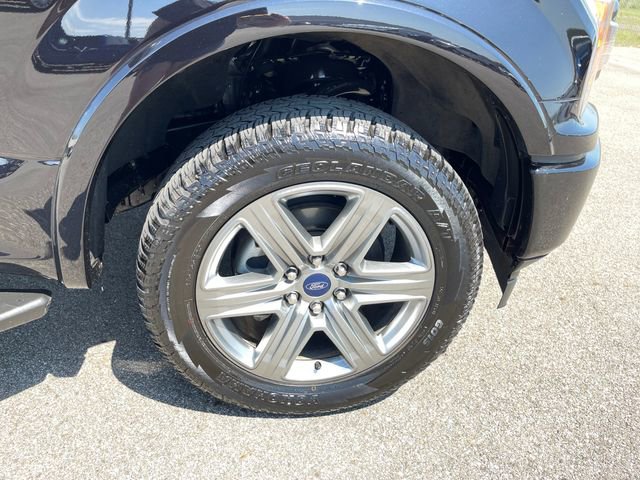 Used 2019 Ford F150 XLT w/ Equipment Group 302A Luxury image 38