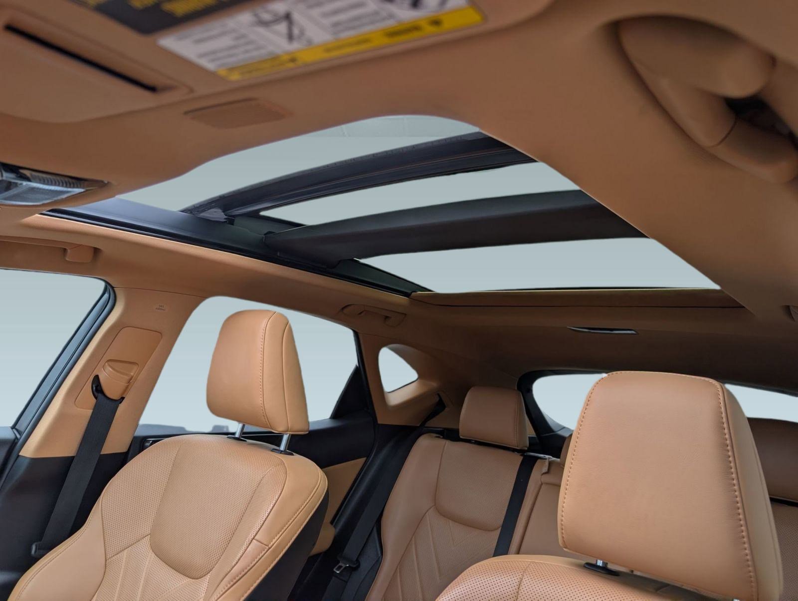 Used 2022 Lexus NX 350h AWD image 15