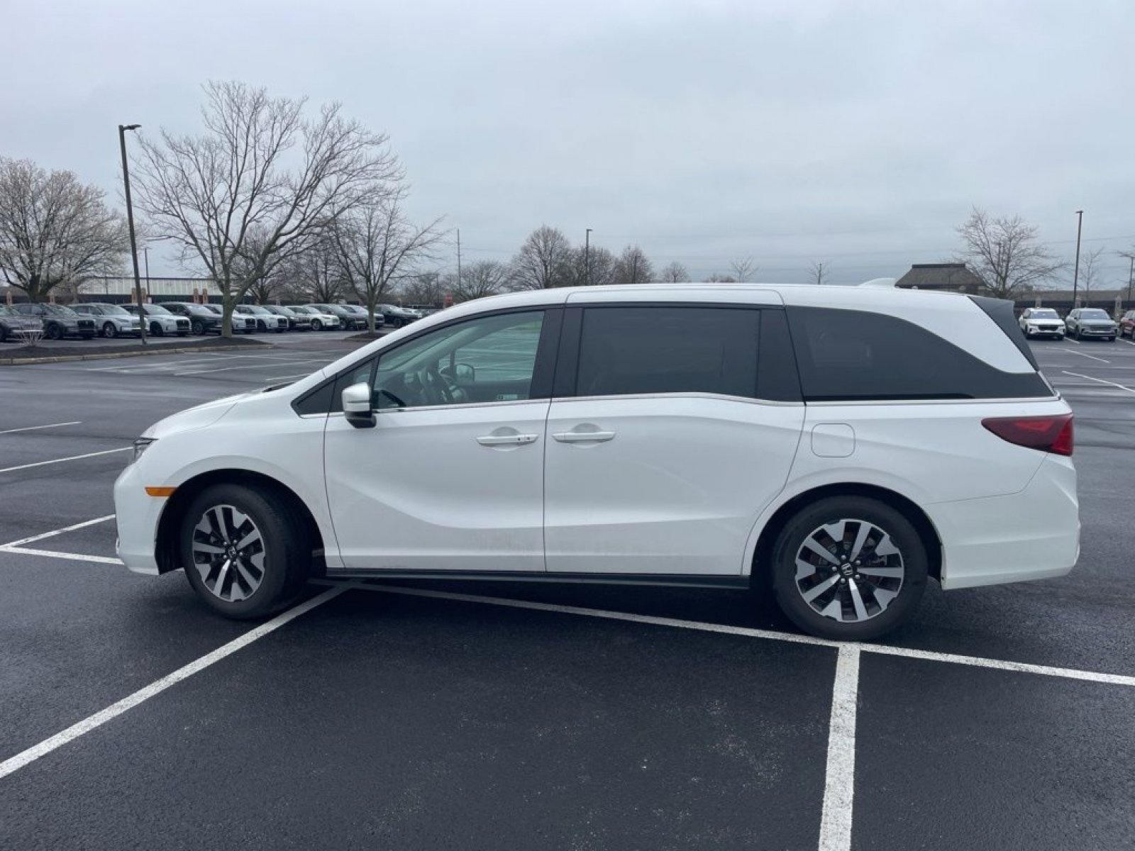 Certified 2025 Honda Odyssey EX-L image 7